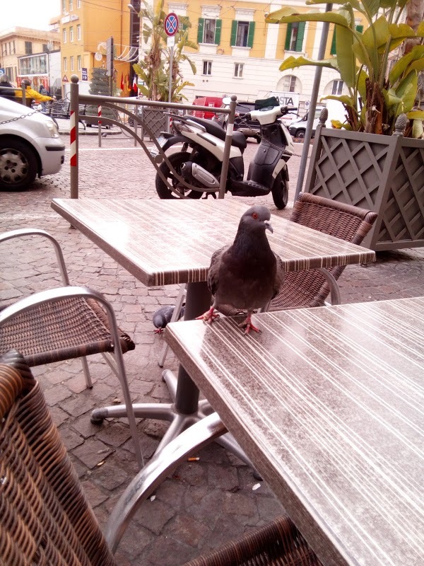 Mcdonald's, Sanremo