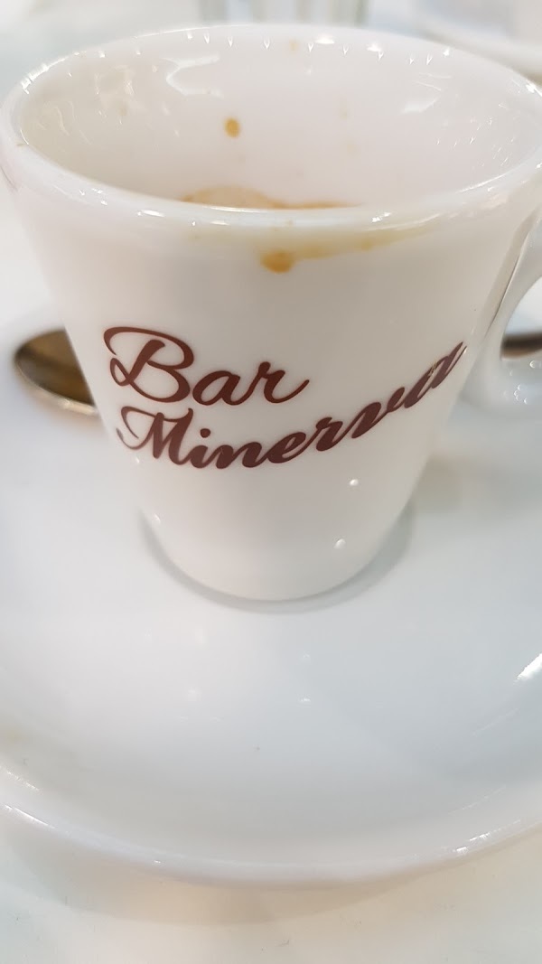 Bar Minerva, Savona