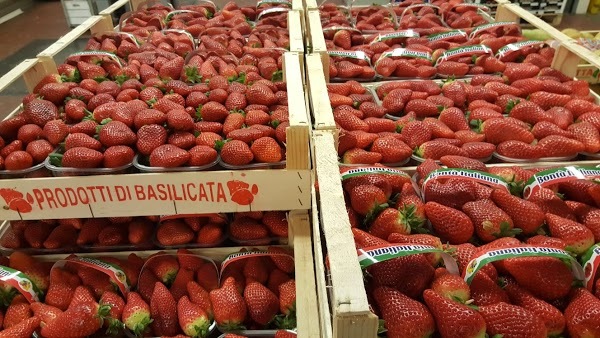 C'era Una Volta Il Gelato, Fagnano Olona