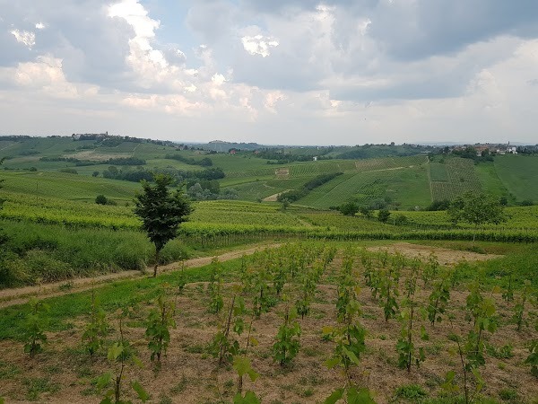 Agriturismo Andi Fausto, Pavia