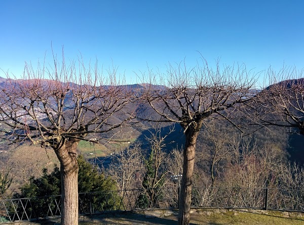 Bigio L'oster, Albino