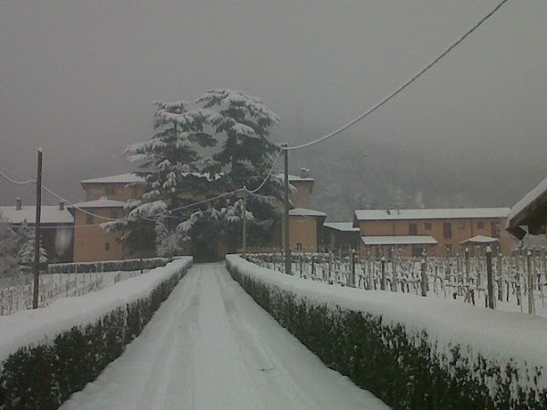 Azienda Agricola Savoldi, Scanzorosciate