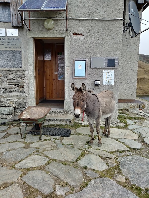 Rifugio Bertacchi, Madesimo