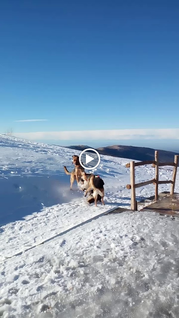 Foto 4 di Rifugio Monte Chiappo