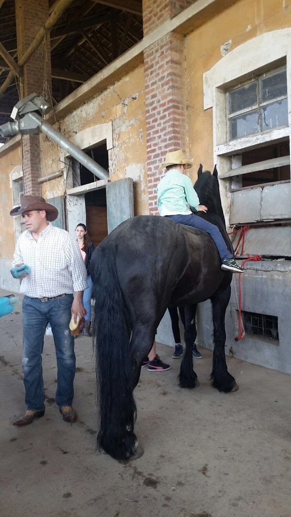 Texas Ranch La Crivella, Gaggiano