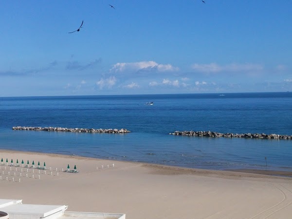 Caffe Casolino, Termoli