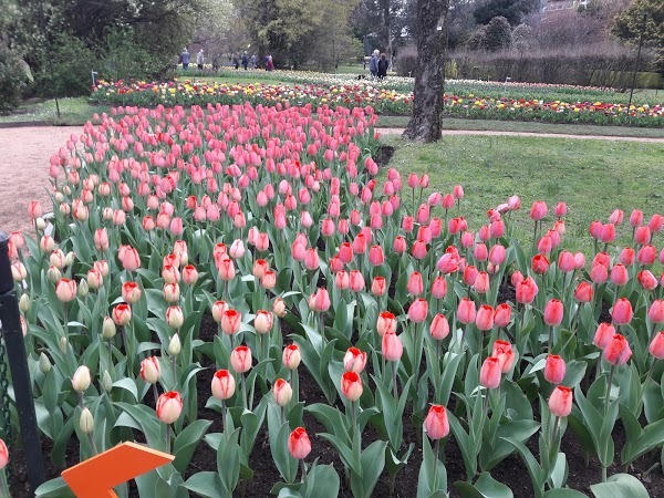 Ente Giardini Botanici Villa Taranto, Verbania