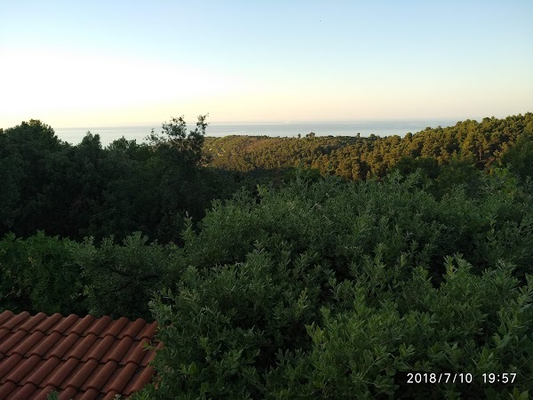 Ristorante Pizzeria Millepini, Peschici