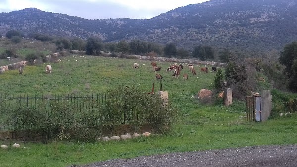 Agriturismo Posta Monaca, Apricena