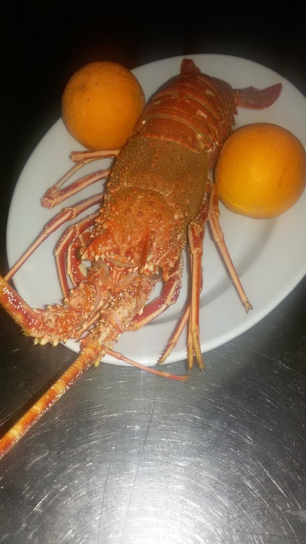 Foto di Ristorante Pizzeria Controvento - 9/10