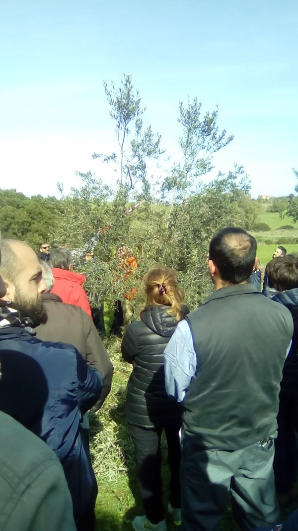 Agriturismo Il Germoglio, Sassari