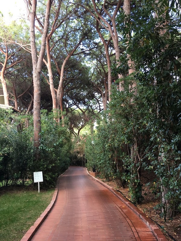 Foto di Is Morus Ristorante - 7/10