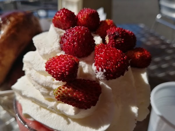 Pasticceria Francalanza, Gravina di Catania