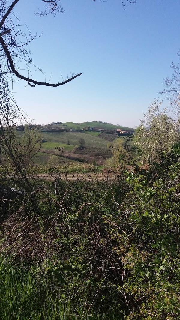 Agricola Agrituristica Tarantani, Ruino