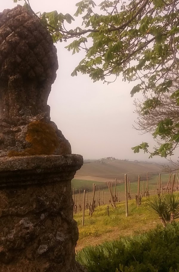 Castello Di Luzzano, Rovescala