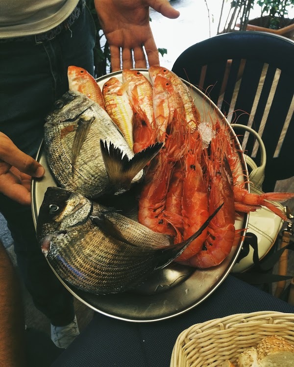 Foto di Trattoria Centro Citta - 7/10