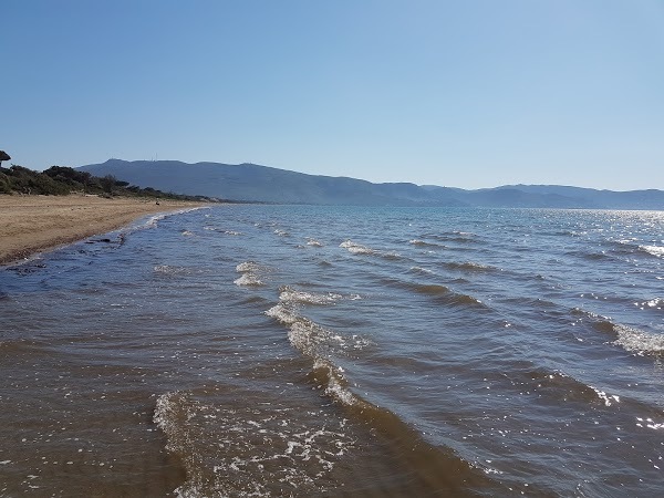 Playa Paraiso Stabilimento Balneare Di Marco Pucino, Orbetello