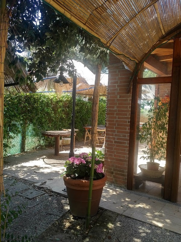 Ristorante Agriturismo Podere Dalla Zia, Fauglia