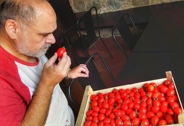 Opificio Del Gusto, Riparbella