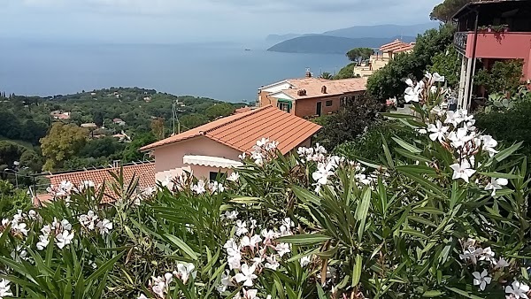 Bar Il Cavatore, Capoliveri