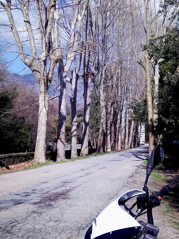 Foto di La Bottega Sulla Fraga - 10/10