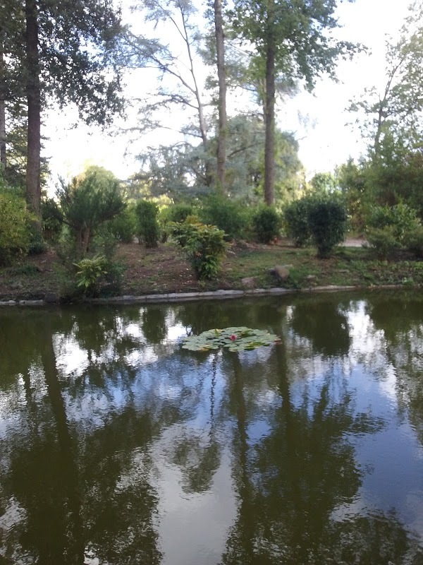 Foto di La Bottega Sulla Fraga - 8/10