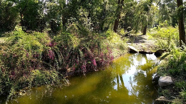 Foto di La Bottega Sulla Fraga - 7/10