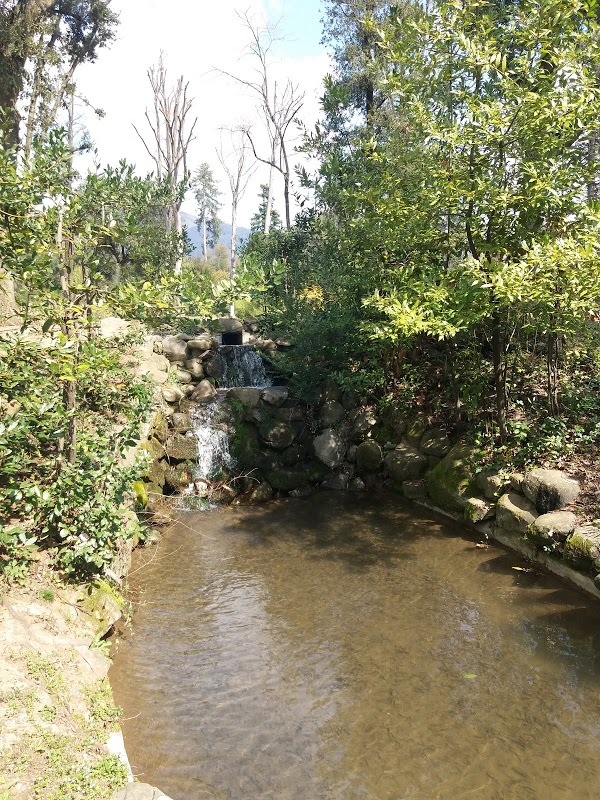 La Bottega sulla Fraga