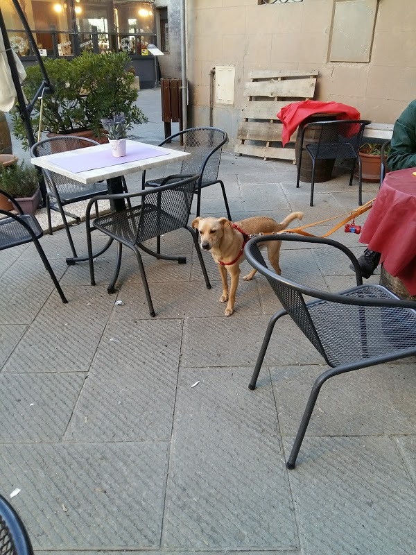 Foto di Ritrovino - 7/10