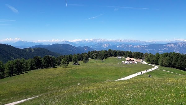 Malga Gurndin Alm, Aldino