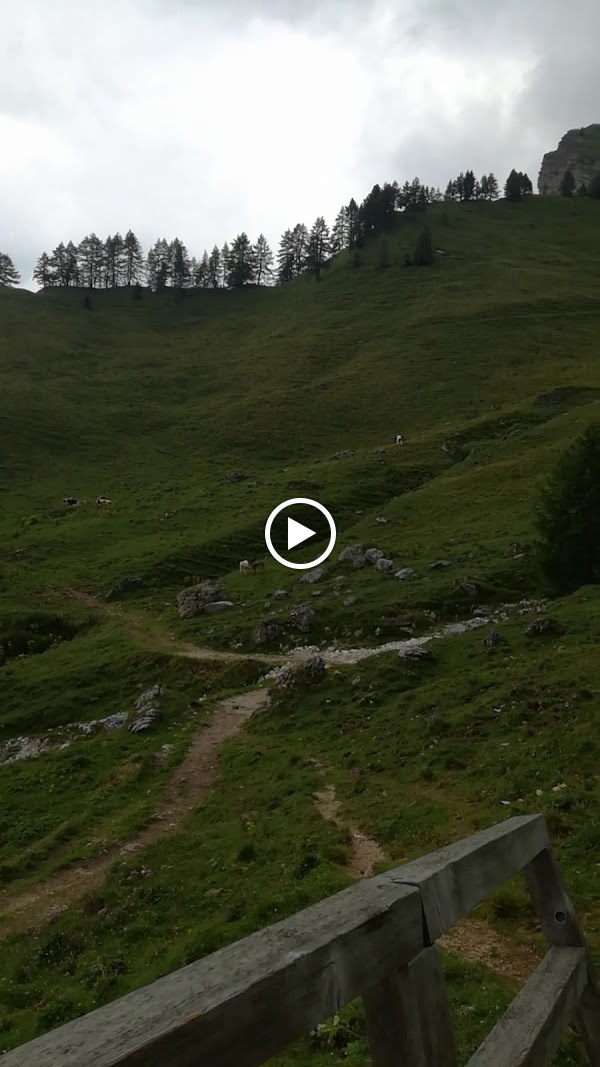 Agritur Malga Pala, Primiero San Martino di Castrozza