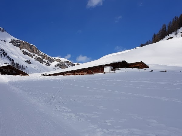 Malga Di Slingia/ Schliniger Alm, Malles Venosta