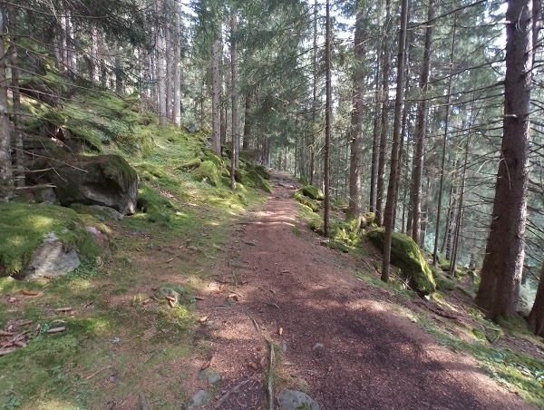 Ramitzler Schwaige Hutte, Laion