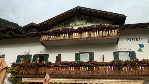 Foto di Genzianella - 9/10