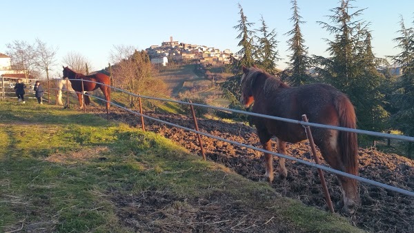 Agriturismo Monte Dell'armenia, Forenza