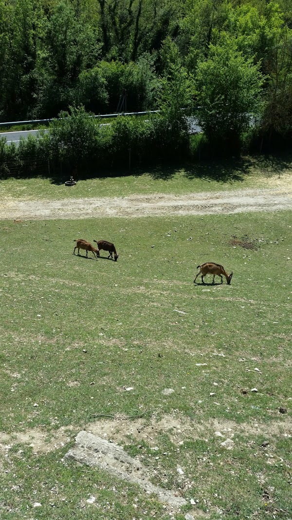 Agriturismo Caperroni, Pescopagano