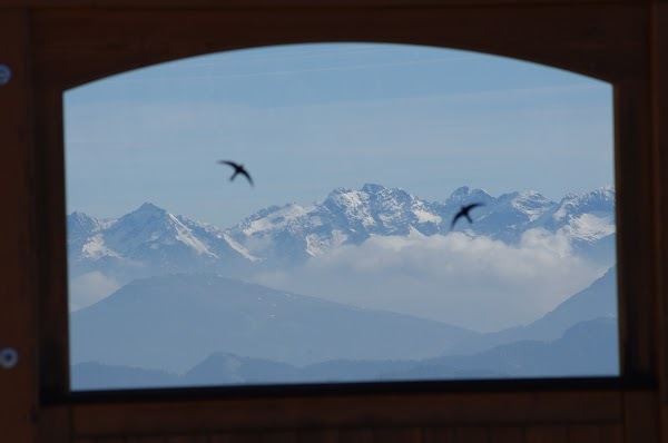 Foto di Rifugio Bec De Roces - 7/10