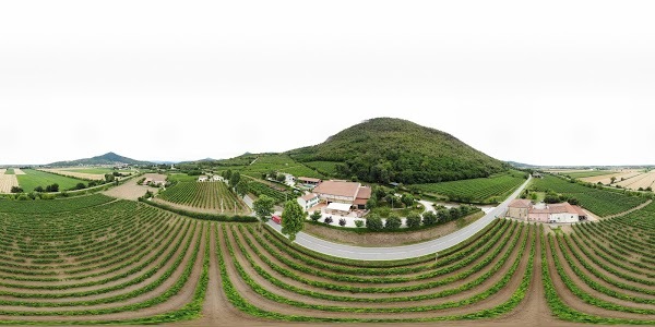 La Roccola, Cinto Euganeo