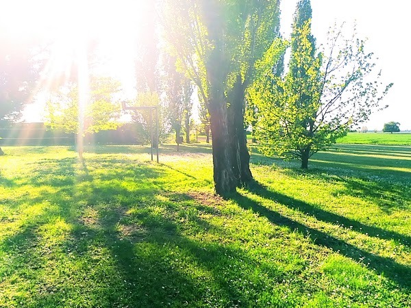 Foto di Agriturismo Il Cavallino - 3/10