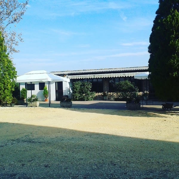 Foto di Agriturismo Il Cavallino - 2/10
