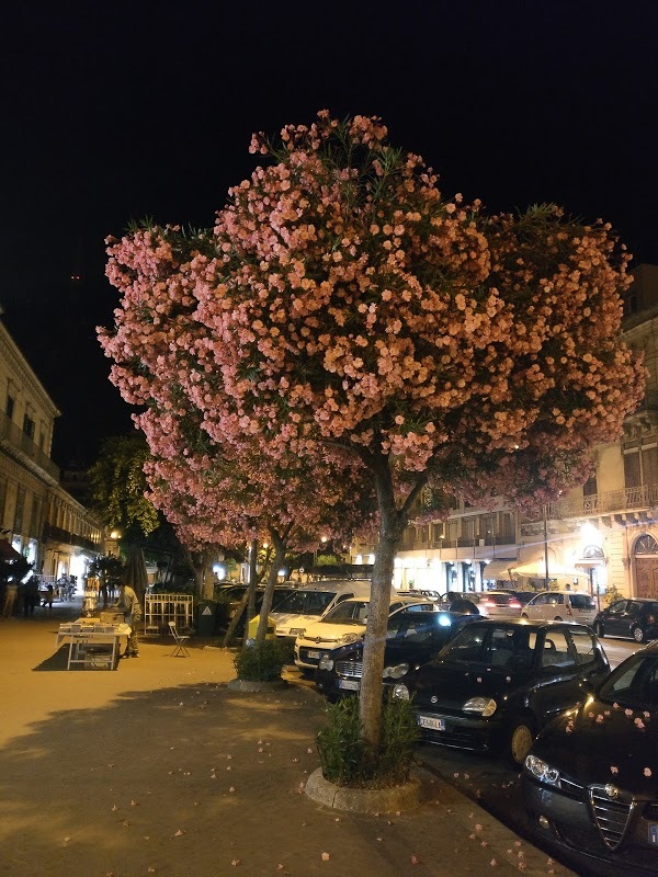 Bar Sicilia, Modica