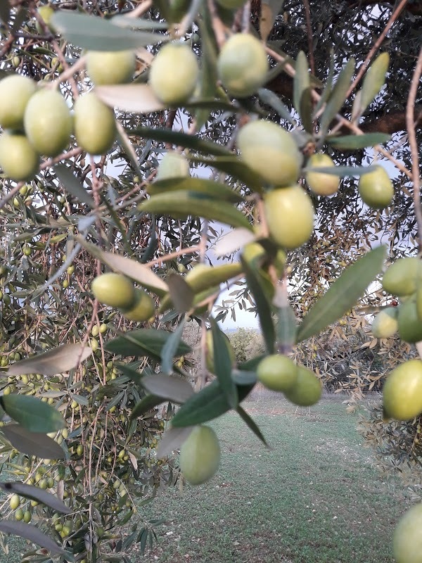 Azienda Agricola Mortilla, Chiaramonte Gulfi