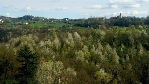 Castello Di Brusasco, Brusasco