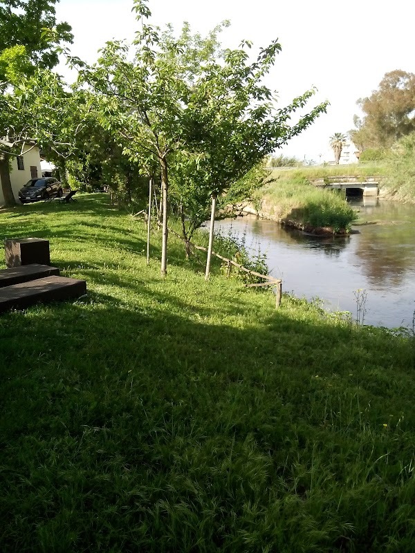 Cucinarium