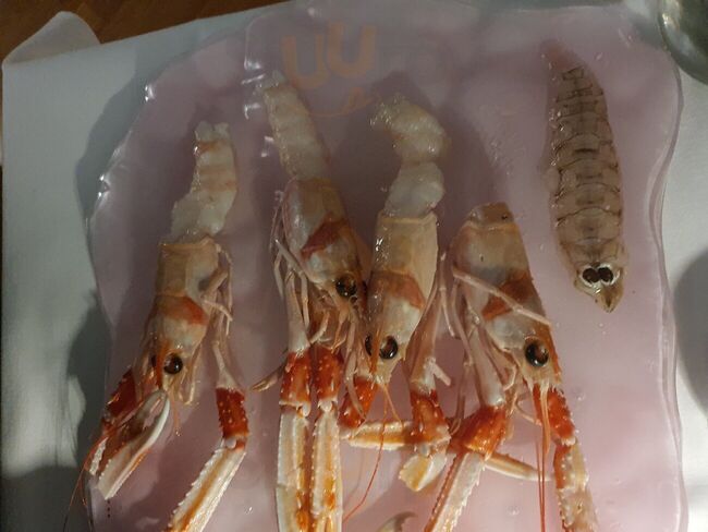 Foto di One Love Restaurant - 8/10