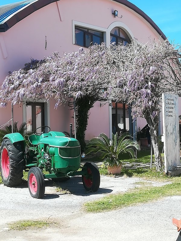 Agriturismo Trigna, Lamezia Terme