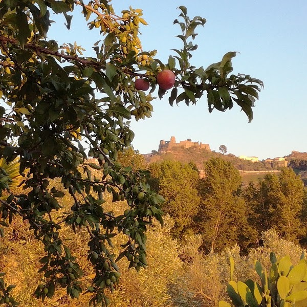 Agriturismo Casa Ponziana, Squillace