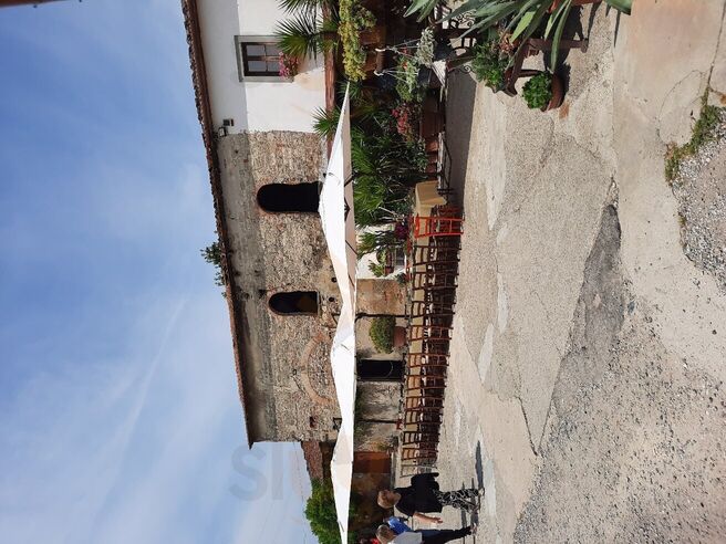 Foto di Azienda Agricola Cafissi Miria - 10/10