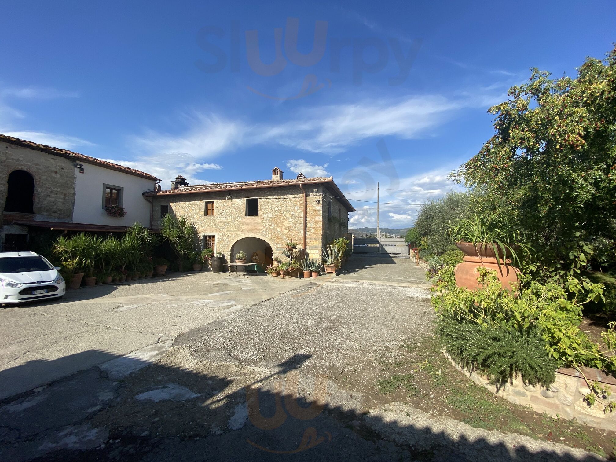 Foto di Azienda Agricola Cafissi Miria - 5/10