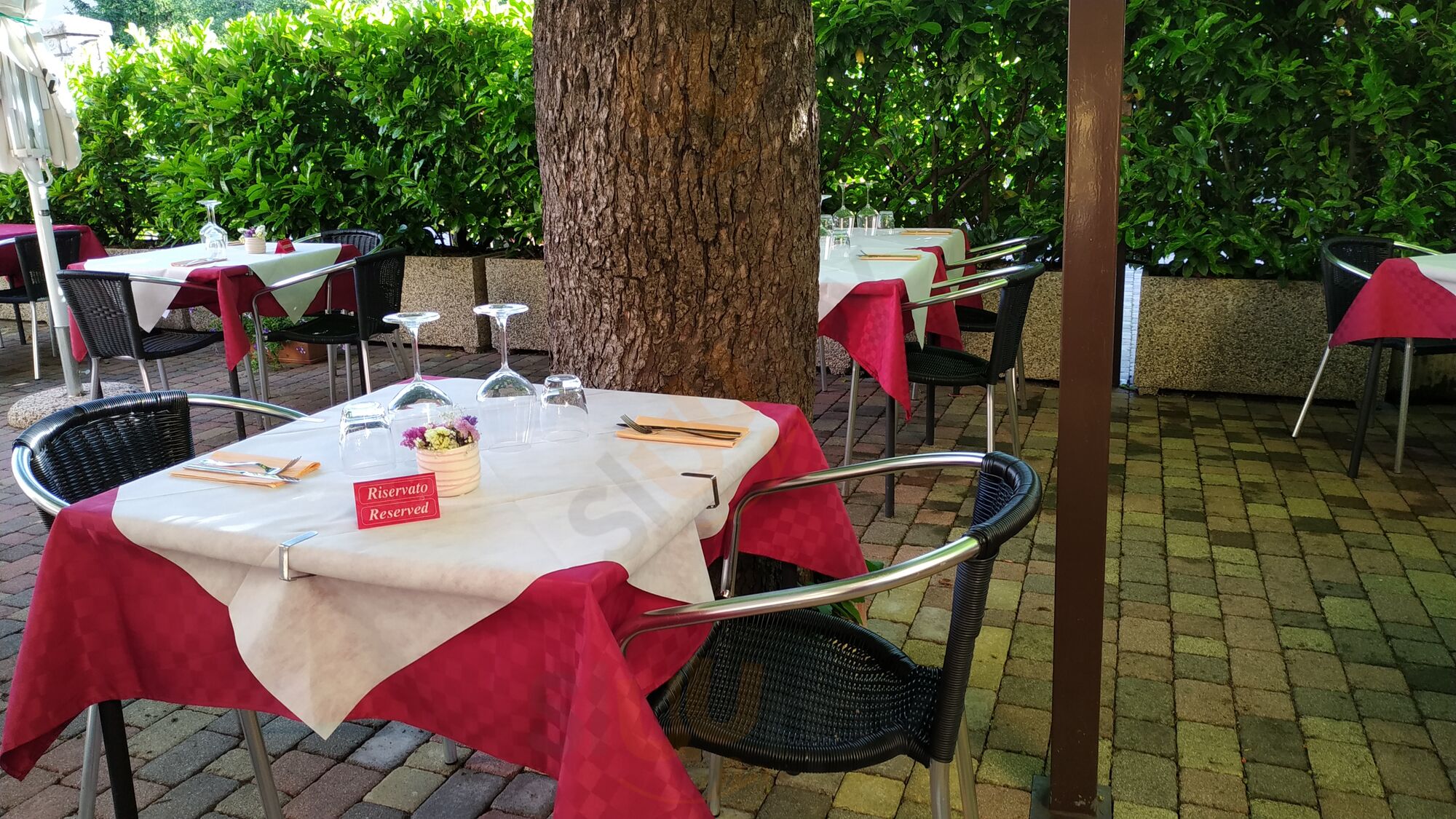 Foto di Trattoria Grgic Da Andrej E Monica - 5/10